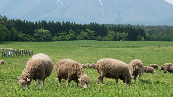 動物とふれあい遊んで自然も満喫！小岩井農場入場券付きプラン 朝食付き